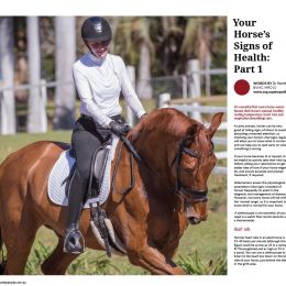 Your Horse's Signs of Health - Part 1